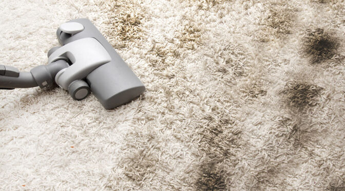 Dirty Little Secrets of the Cleaning Industry