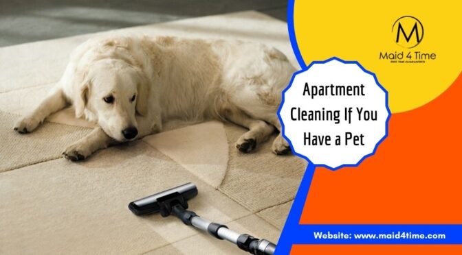 6 Ways to Keep Your Apartment Clean If You Have a Pet